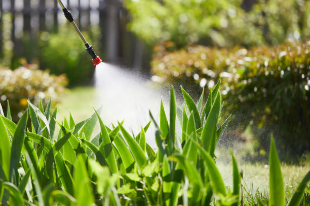 Tamper-Resistant Bait Stations for Rodents in Ozark