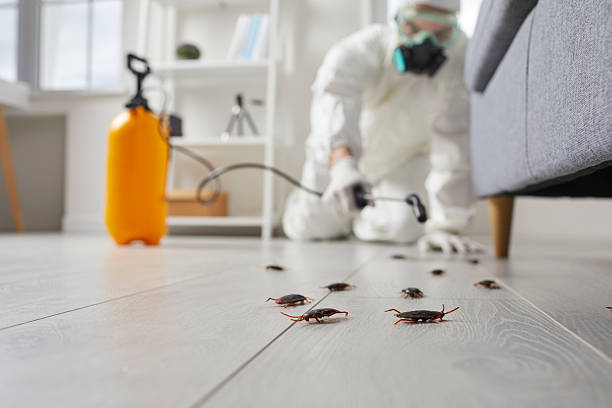 Commercial Rodent Management in Ozark